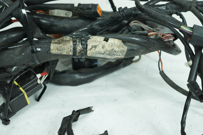 1999 - 2006 Harley-Davidson Touring Road King Police Main Wire Wiring Harness Loom 70245-99