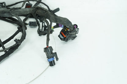2018 - 2026 Harley-Davidson Softail Low Rider S Main Wire Wiring Harness Loom ABS 69201492