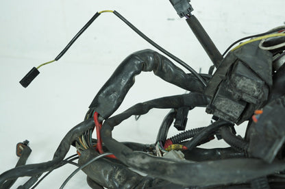 1999 - 2006 Harley-Davidson Touring Road King Police Main Wire Wiring Harness Loom 70245-99