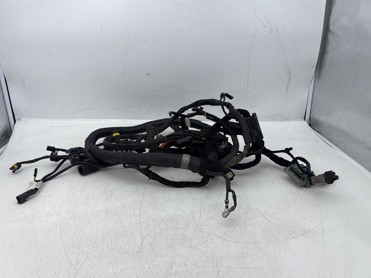 2008 Harley Dyna FXDL Low Rider Anniversary OEM Main Wire Wiring Harness Loom