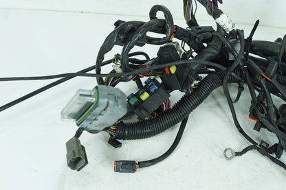2000 - 2006 Harley-Davidson Softail Deuce Main Wire Wiring Harness Loom 70216-01