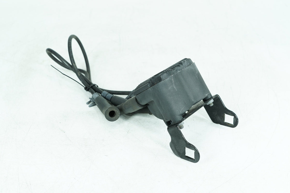 1999 - 2006 Harley-Davidson Touring Electra Glide Classic Ignition Coil Spark Plugs Cable 31743-01