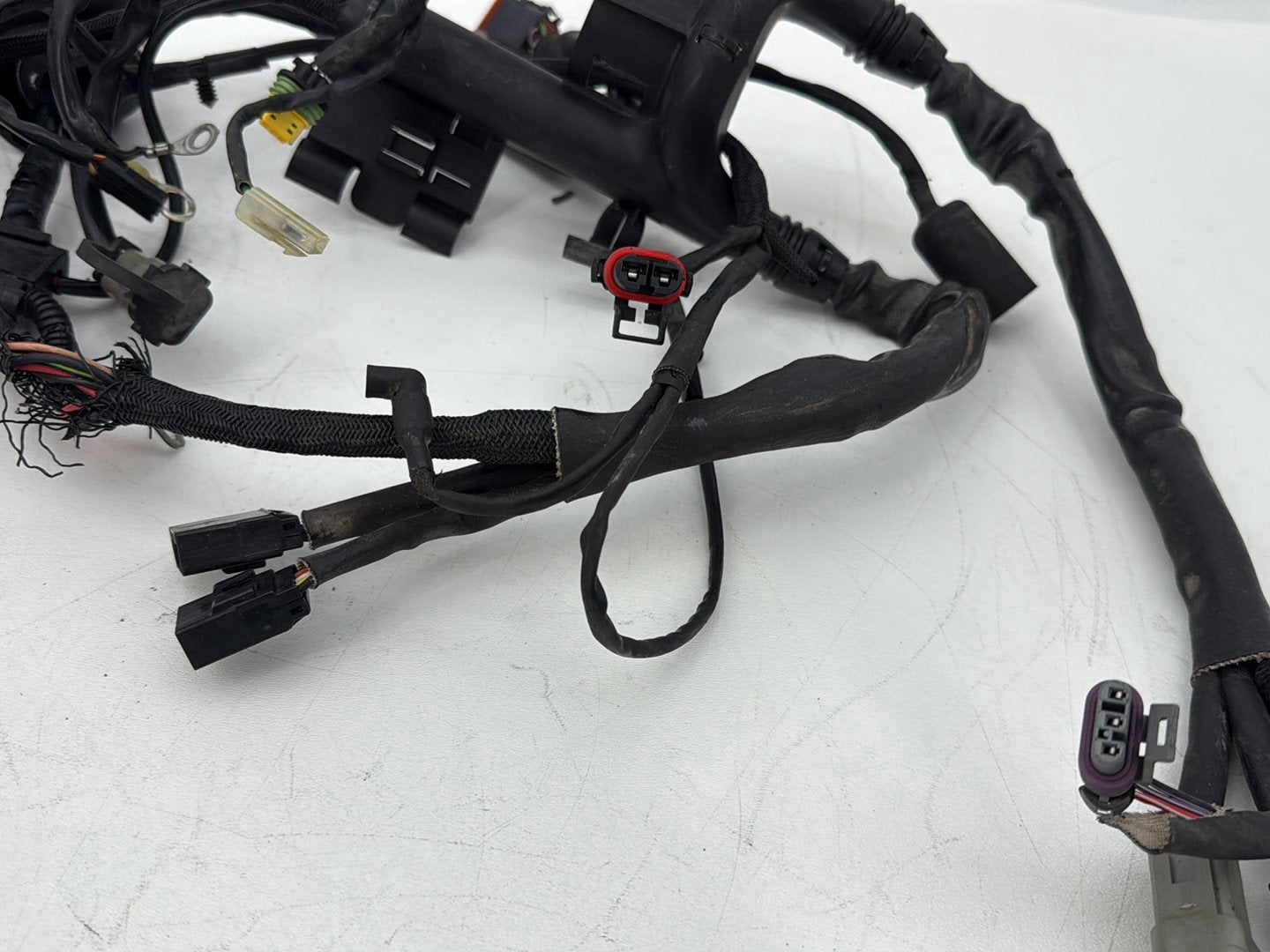 2004 - 2013 Harley-Davidson Sportster 1200 Custom Main Wire Wiring Harness Ignition Switch NOKey 70139-06