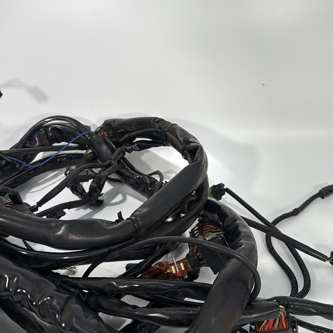 1999 - 2006 Harley-Davidson Touring Electra Glide Classic Main Wire Wiring Harness Loom  	70985-04