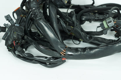1999 - 2006 Harley-Davidson Touring Electra Glide Ultra Main Wire Wiring Harness Loom 70985-02