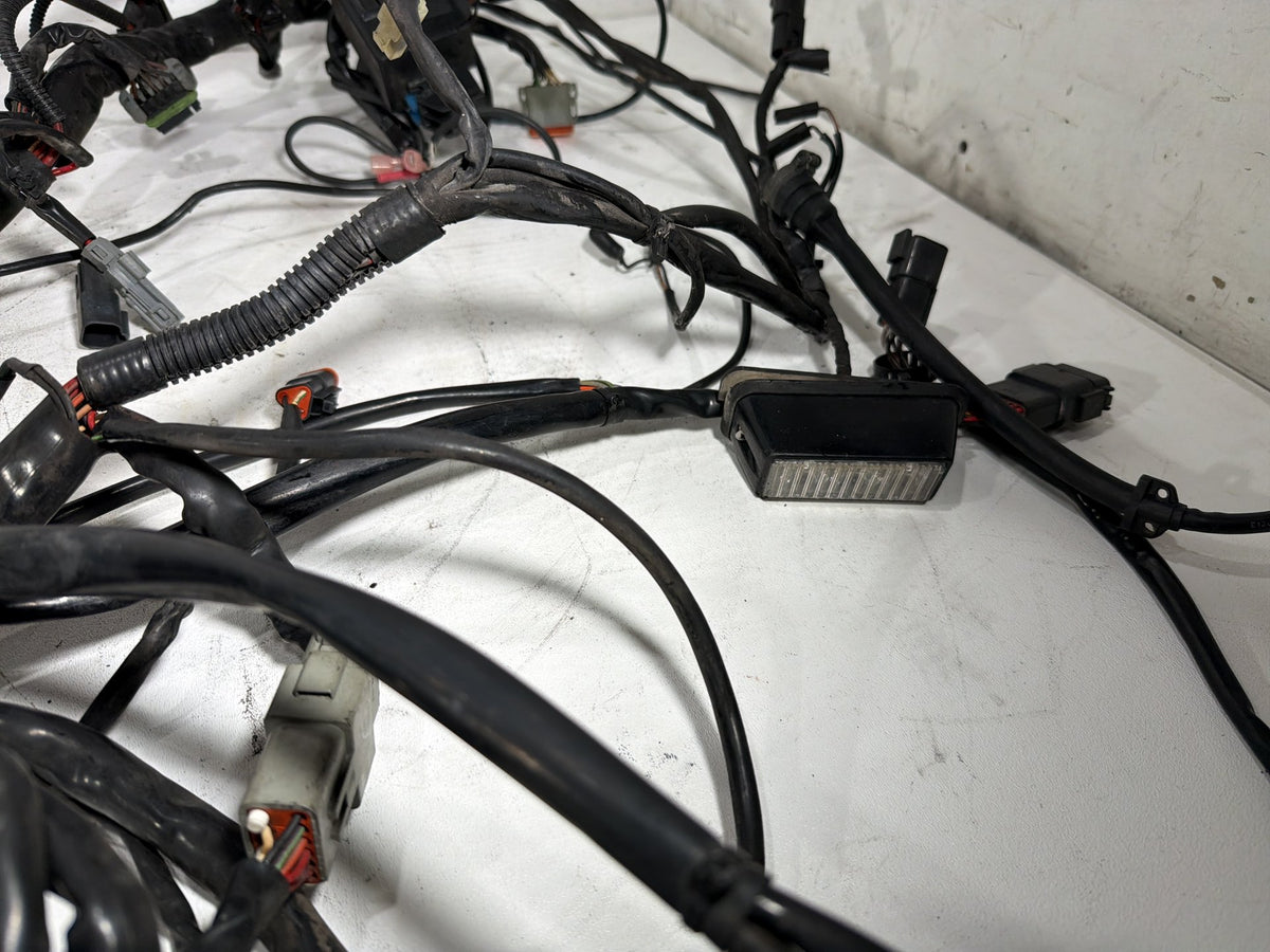 2004 Harley Electra Glide Touring Ultra OEM Main Wire Wiring Harness Loom