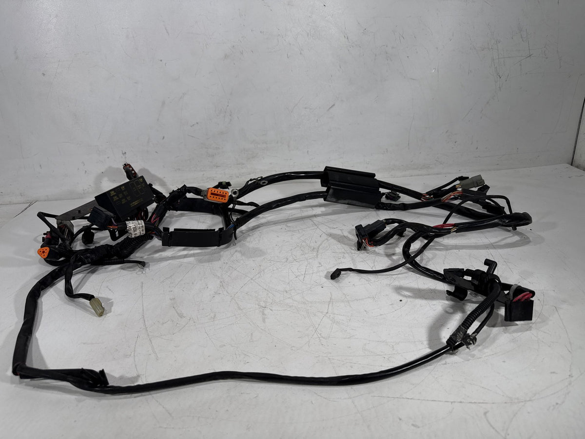 2001 Harley Softail Standard FXST OEM Main Wire Wiring Harness Loom CARB