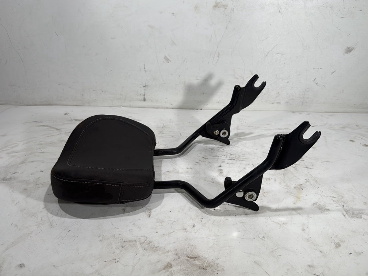 2022 Harley Road King Touring FLHR OEM Rear Sissy Bar w/ Backrest Cushion Pad