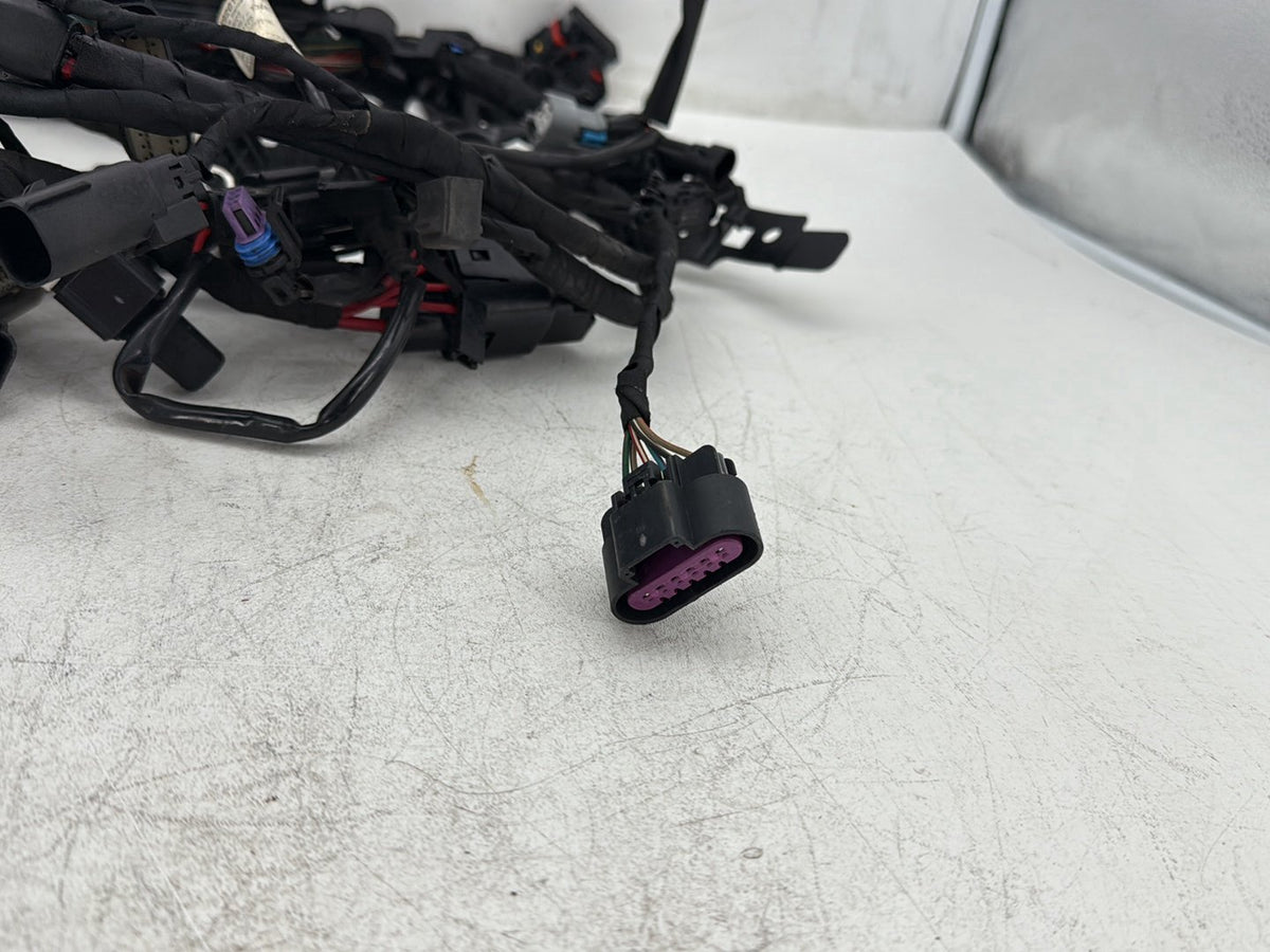 2019 Harley Softail Street Bob FXBB OEM Main Wire Wiring Harness Loom NON-abs
