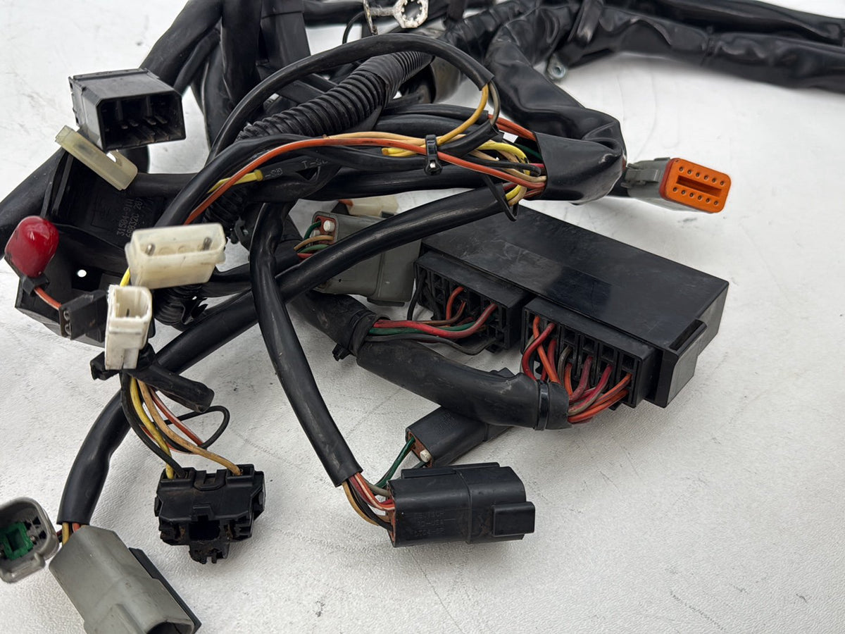 2002 Harley Touring CVO Screamin Eagle Road King Main Wire Wiring Harness Loom