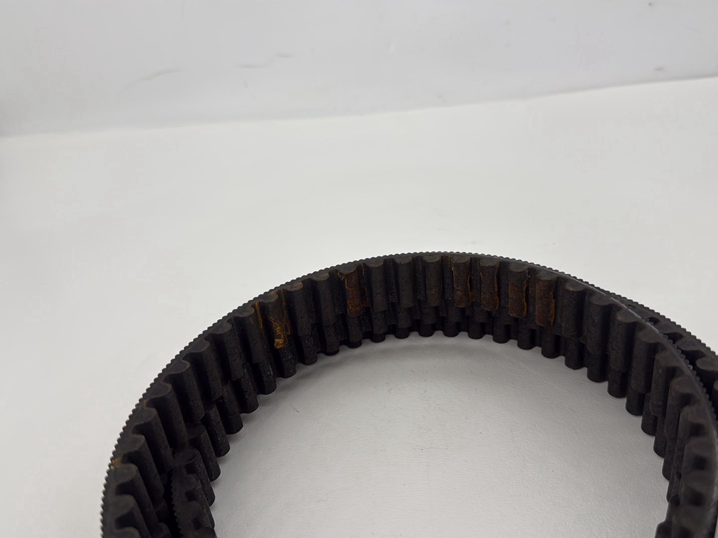 2014 Harley Sportster XL883L 883 SuperLow OEM Rear Drive Belt