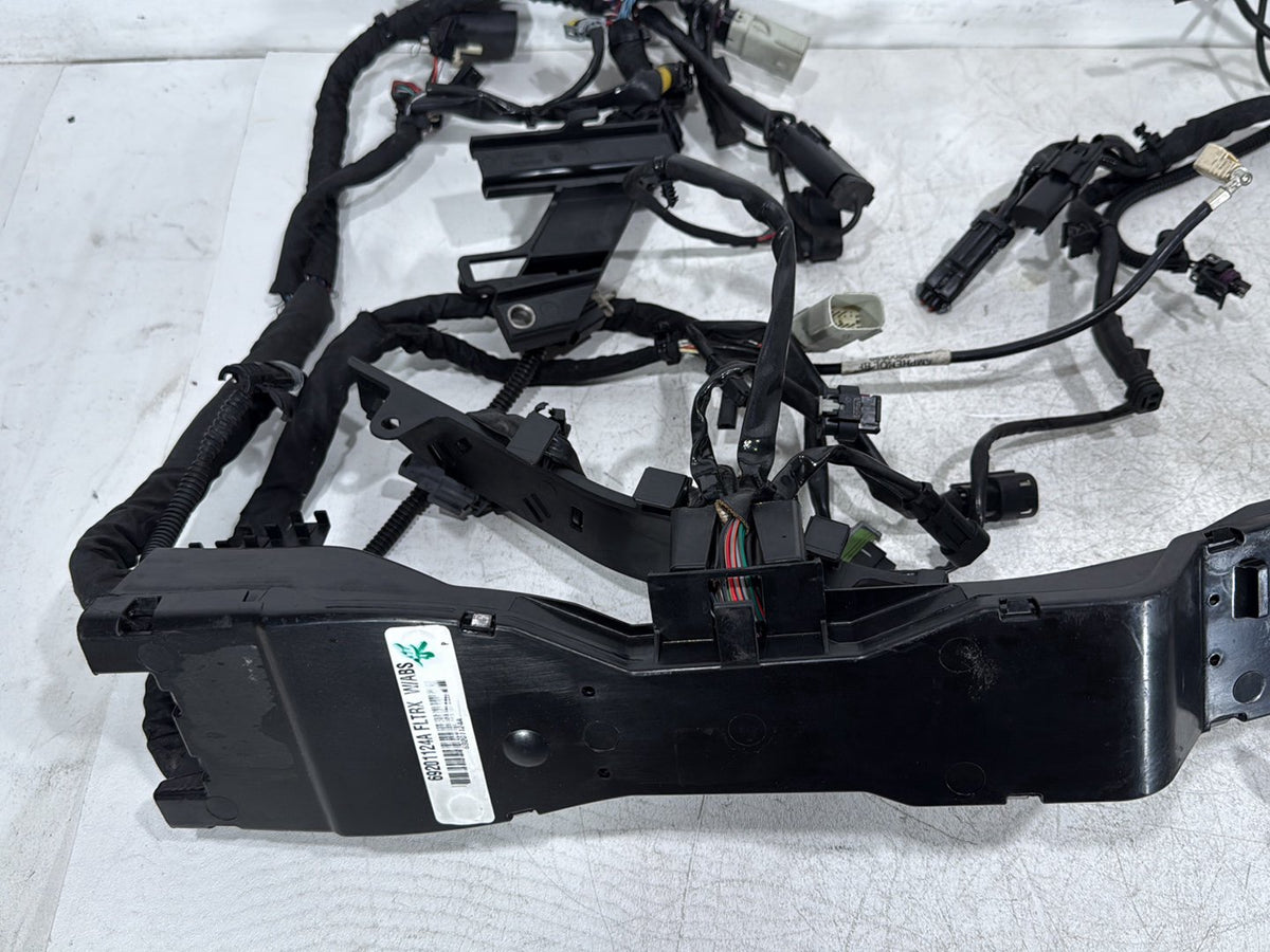 2018 Harley Road Glide Touring FLTRXS OEM Main Wire Wiring Harness Loom ABS
