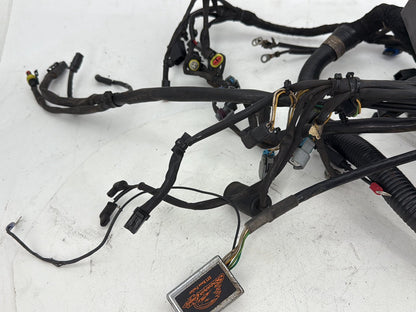 2006 Harley Dyna Super Glide Custom FXDCI OEM Main Wire Wiring Harness Loom