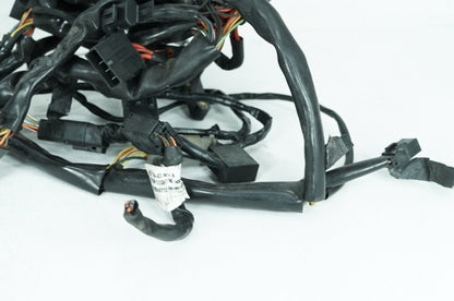 1999 - 2006 Harley-Davidson Dyna Low Rider Main Wire Wiring Harness Loom 69602-04A
