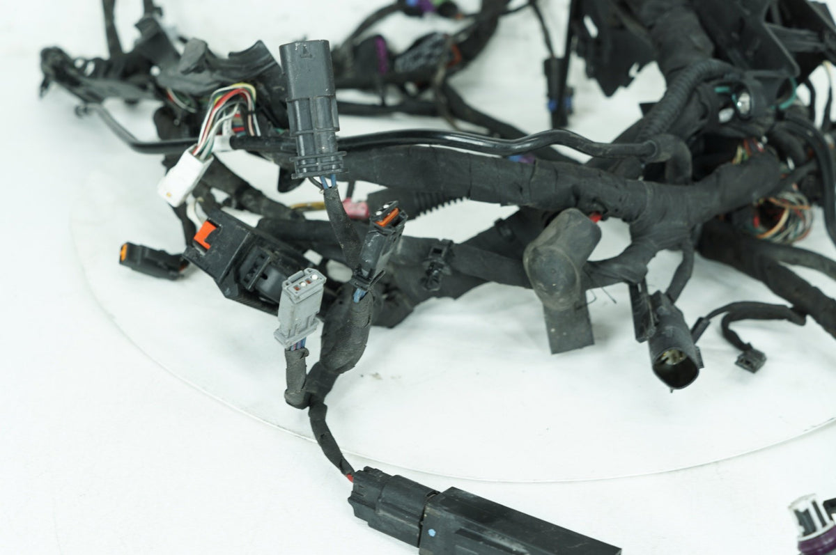 2020 Harley Softail FXLRS Low Rider S OEM Main Wire Wiring Harness Loom ABS