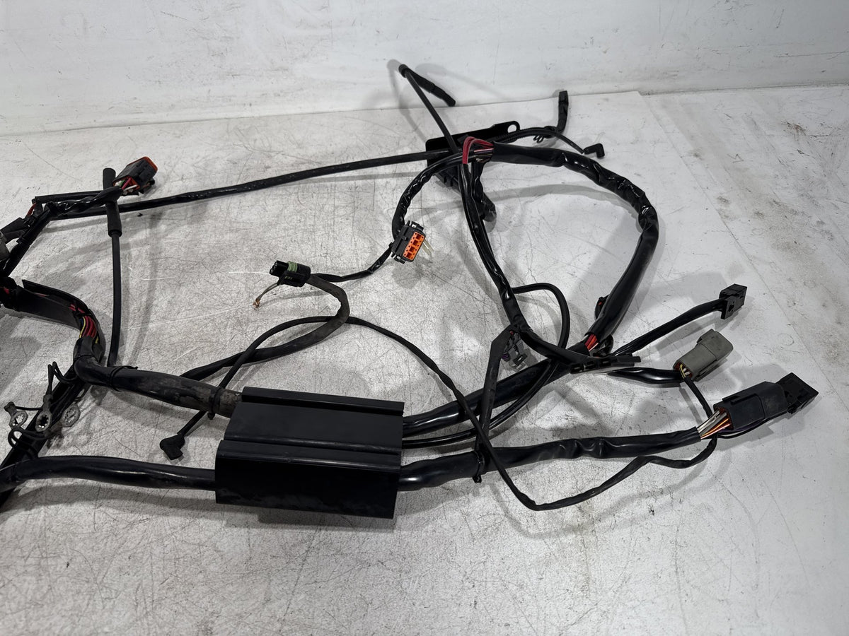 2001 Harley Fat Boy Softail FLSTF OEM Main Wire Wiring Harness Loom CARB