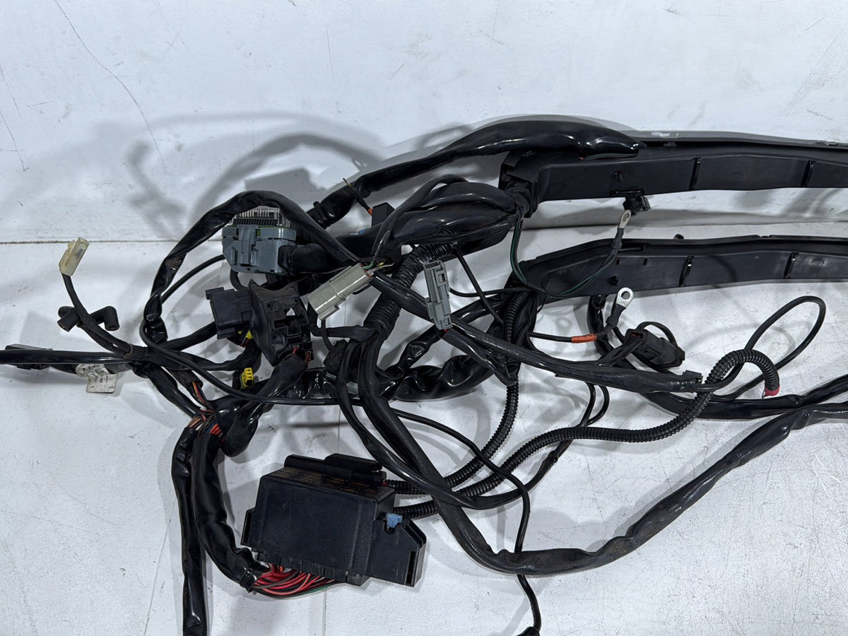 2007 Harley Electra Glide Touring Ultra OEM Main Wire Wiring Harness Loom