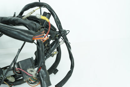 1984 - 1998 Harley-Davidson Touring Road King Classic Main Wire Wiring Harness Loom 70245-98