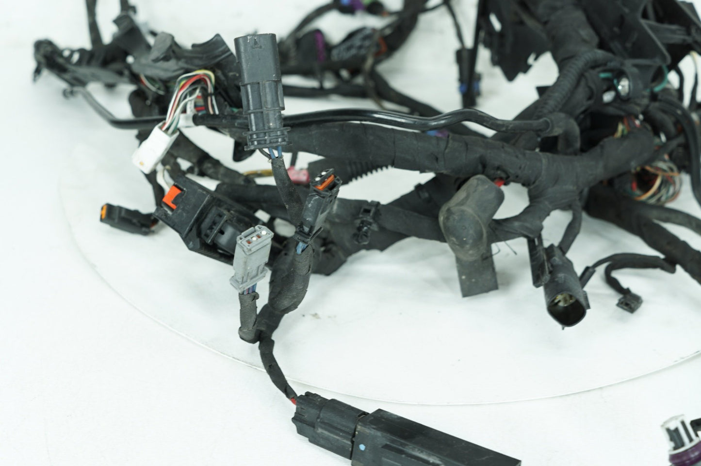 2018 - 2026 Harley-Davidson Softail Low Rider S Main Wire Wiring Harness Loom ABS 69201492
