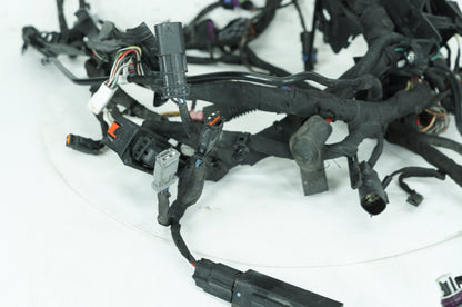 2018 - 2026 Harley-Davidson Softail Low Rider S Main Wire Wiring Harness Loom ABS 69201492