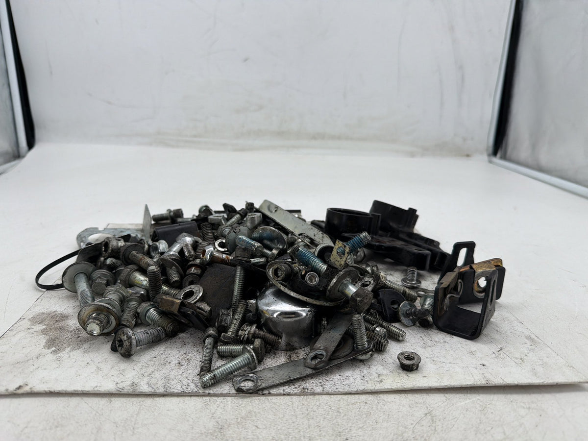 2007 Harley Electra Glide Touring CVO Eagle OEM Hardware Bolts Nuts & Brackets