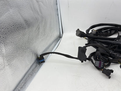 1999 - 2006 Harley-Davidson Touring Electra Glide Ultra Main Wire Wiring Harness Loom 70985-04