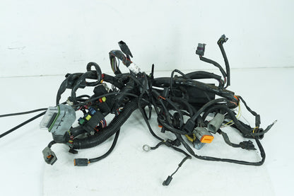 2000 - 2006 Harley-Davidson Softail Deuce Main Wire Wiring Harness Loom 70216-01
