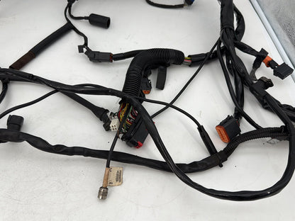 1999 - 2006 Harley-Davidson Touring Electra Glide Ultra Main Wire Wiring Harness Loom 71000-06