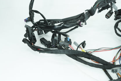2018 - 2026 Harley-Davidson Softail Low Rider S Main Wire Wiring Harness Loom ABS 69202197