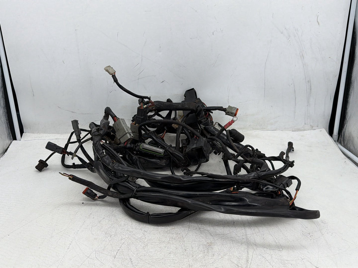 2005 Harley Road King Touring Police OEM Main Wire Wiring Harness Loom