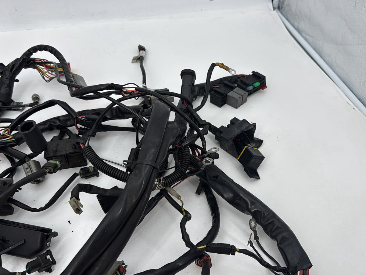 1999 - 2006 Harley-Davidson Touring Electra Glide Classic Main Wire Wiring Harness Loom 70985-01
