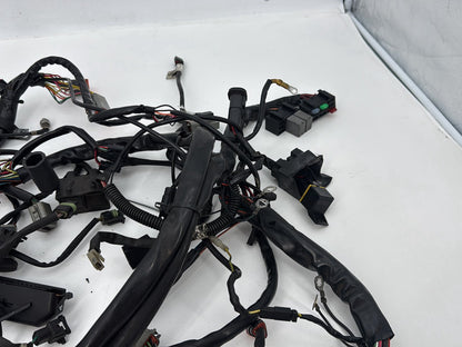 1999 - 2006 Harley-Davidson Touring Electra Glide Classic Main Wire Wiring Harness Loom 70985-01