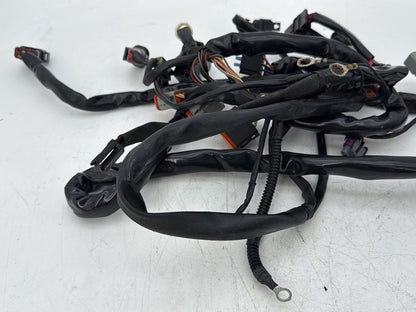 2002 Harley Dyna FXD Super Glide OEM Main Wire Wiring Harness Loom