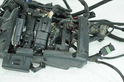 2004 - 2022 Harley-Davidson Sportster SuperLow Main Wire Wiring Harness Loom NON-abs 69200072B