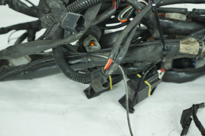 1999 - 2006 Harley-Davidson Touring Road King Police Main Wire Wiring Harness Loom 70245-99