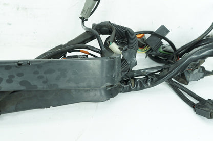 1999 - 2006 Harley-Davidson Touring Road King Main Wire Wiring Harness Loom 70245-06