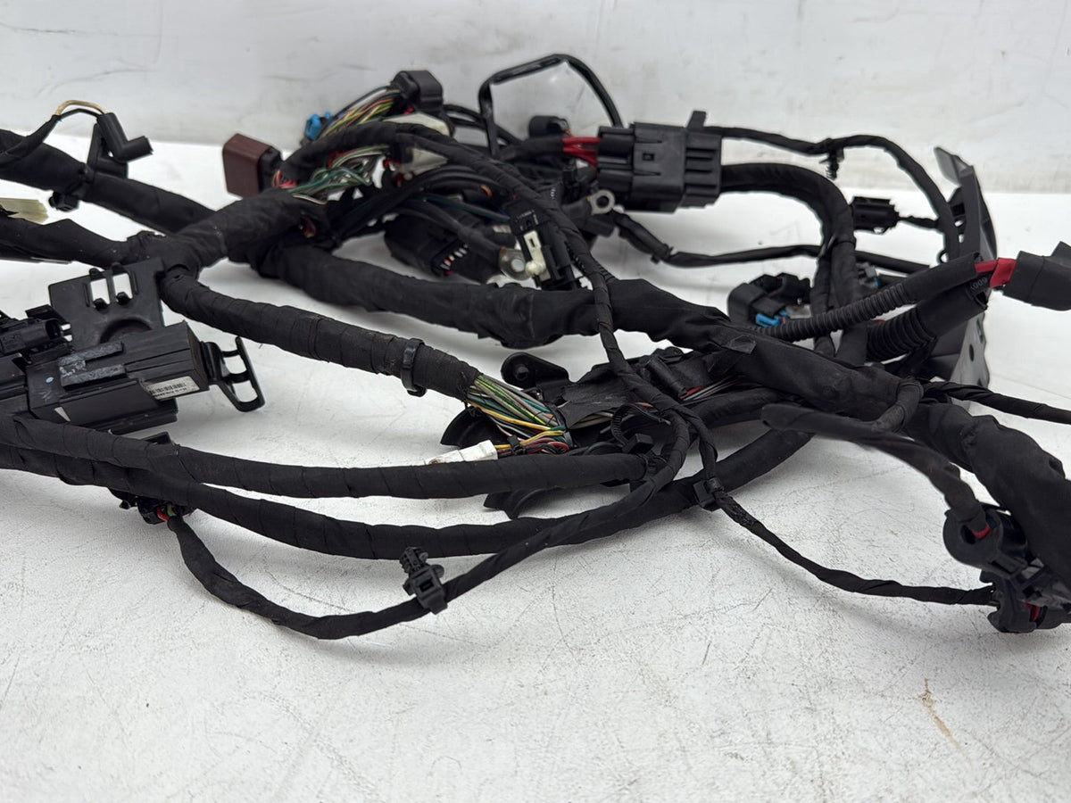 2019 Harley Softail Street Bob FXBB OEM Main Wire Wiring Harness Loom NON-abs
