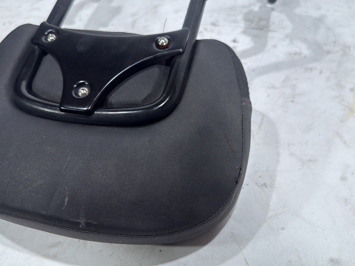 2022 Harley Road King Touring FLHR OEM Rear Sissy Bar w/ Backrest Cushion Pad