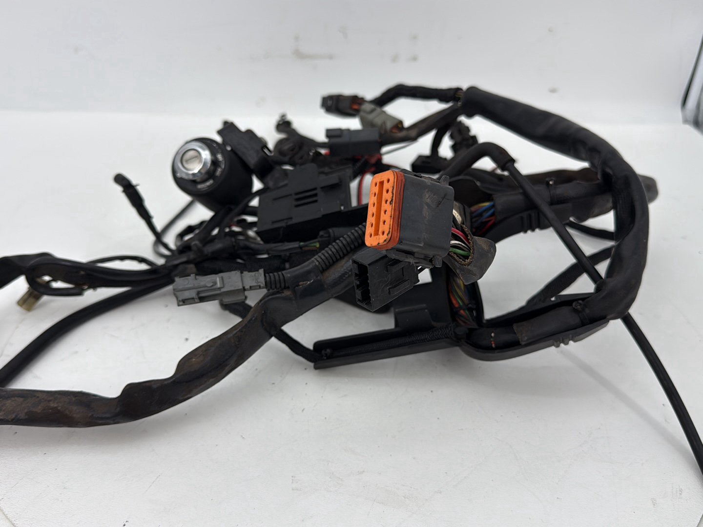 2004 - 2013 Harley-Davidson Sportster 883 Custom Main Wire Wiring Harness Ignition Switch NOKey 70139-06