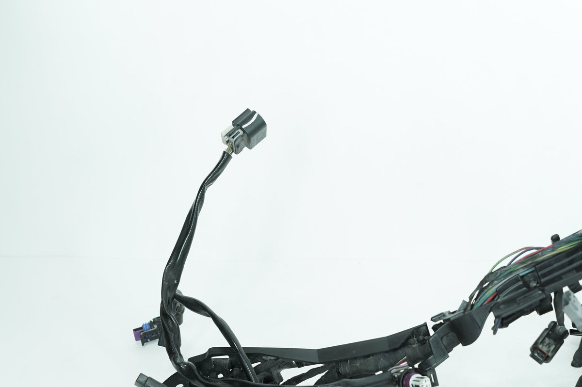 2023 Harley Softail FXLRS Low Rider S OEM Main Wire Wiring Harness Loom ABS