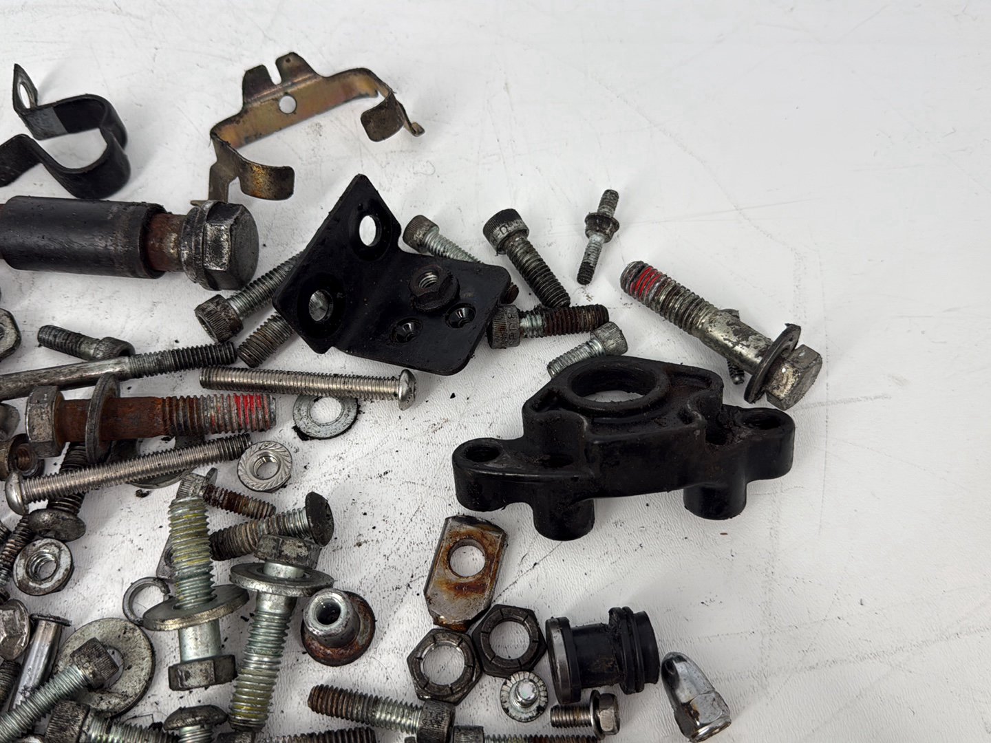 2005 Harley Sportster XL883C 883 Custom OEM Hardware Bolts Nuts & Brackets