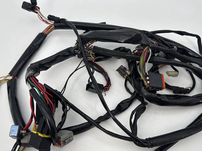 1999 - 2006 Harley-Davidson Dyna Low Rider Main Wire Wiring Harness Loom