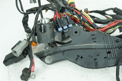 2004 - 2022 Harley-Davidson Sportster Iron 883 Main Wire Wiring Harness Loom  	70181-10