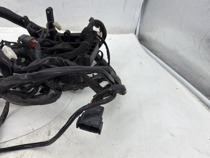 2006 Harley Dyna Super Glide Custom FXDCI OEM Main Wire Wiring Harness Loom