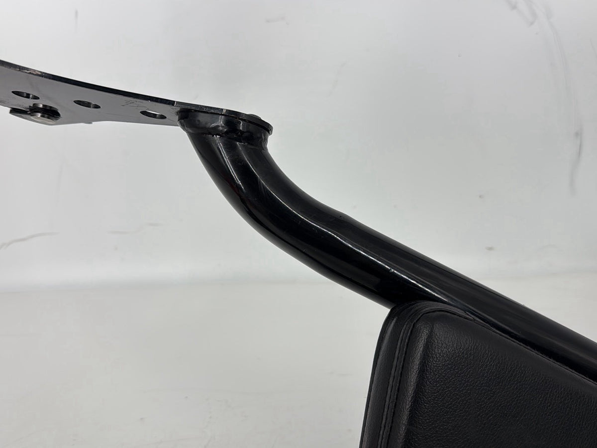 05 Harley Sportster XL883C 883 Custom OEM Rear Sissy Bar w/ Backrest Cushion Pad