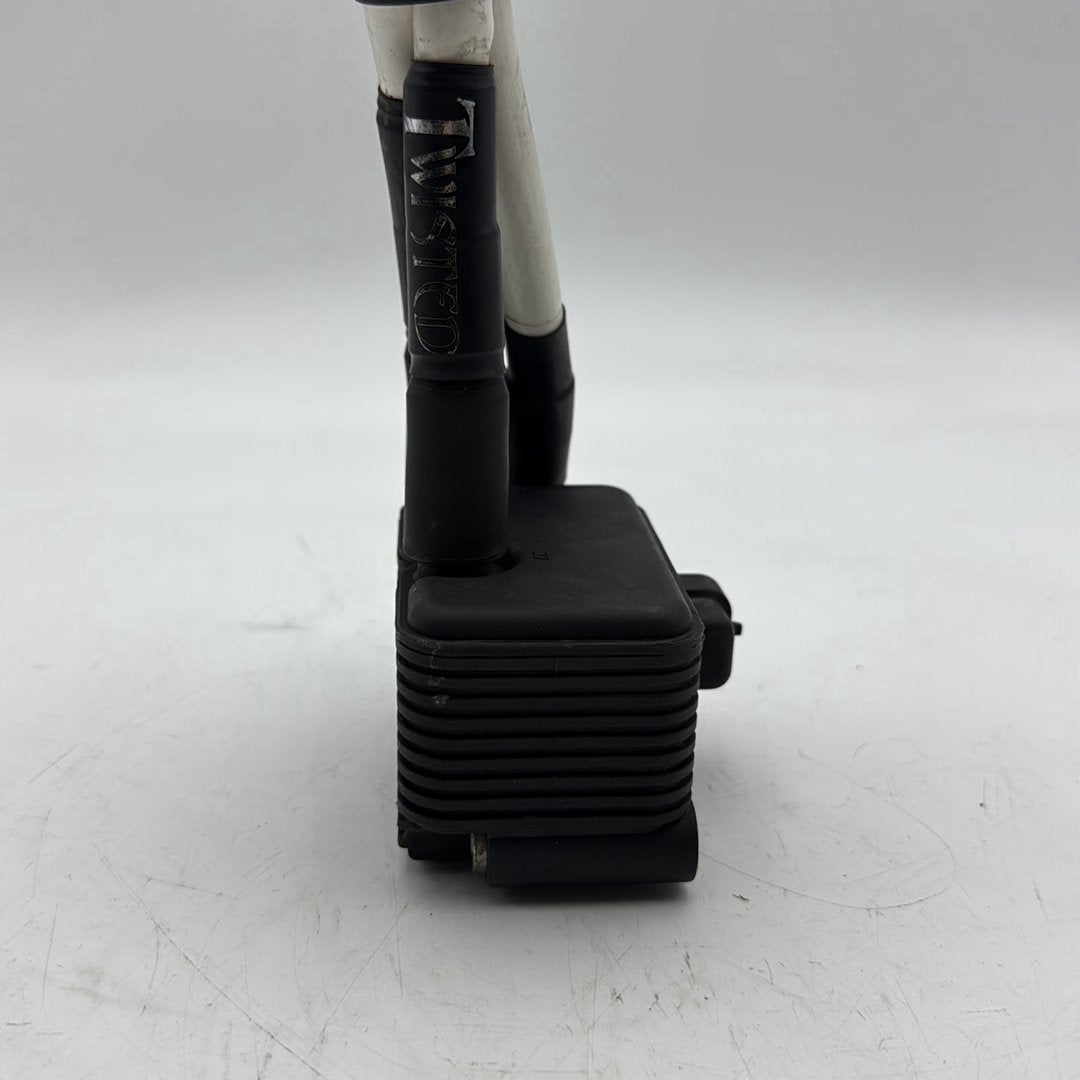 1999 - 2006 Harley-Davidson Dyna Low Rider Ignition Coil Spark Plugs Cable 31655-99