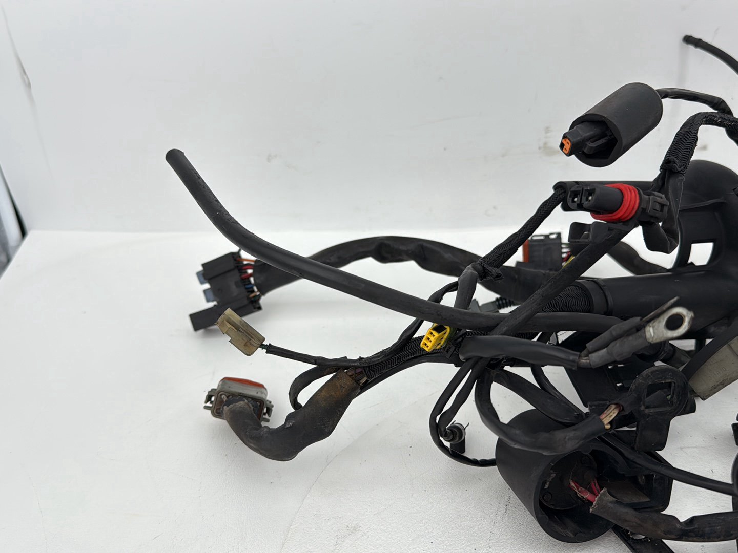 2004 - 2013 Harley-Davidson Sportster 883 Custom Main Wire Wiring Harness Ignition Switch NOKey 70139-06