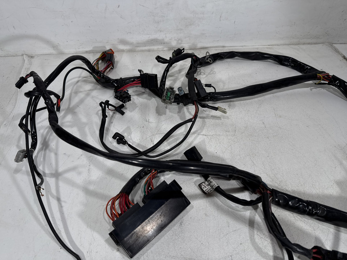 2001 Harley Electra Glide Touring Classic OEM Main Wire Wiring Harness Loom
