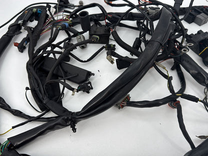 1999 - 2006 Harley-Davidson Touring Electra Glide Classic Main Wire Wiring Harness Loom 70985-01