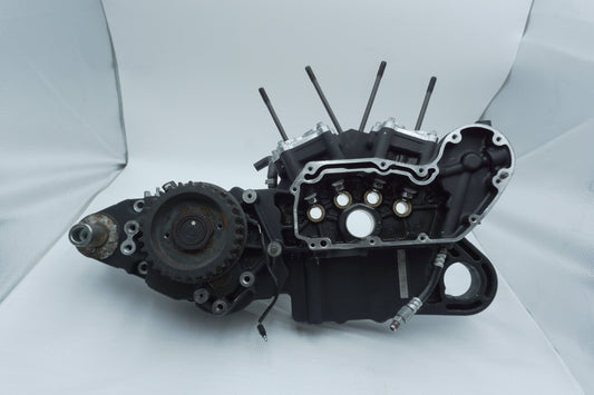 2004 - 2013 Harley-Davidson Sportster Low Crankcase Shaft Engine Motor Cover 24558-06